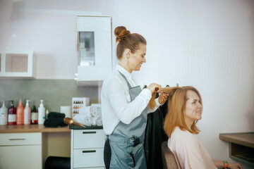 female hairdresser in modern beauty studio with hairbrush