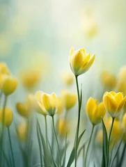 Fotobehang Yellow spring flowers on a blurred background. Ai generative delicate photography in pastel tones with copyspace perfect for poster, cover or seasonal advertising © Ollyta