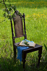 An open book on a chair in the garden under a blooming apple tree