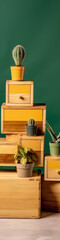 Cactus and aloe vera plants on wooden shelves with yellow drawers against a green background.