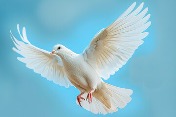 Fototapeta premium Flapping white doves, beautiful simple bright light and blue sky