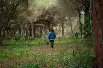 red-haired adult woman strolls carefree through a pine forest accompanied by her dog