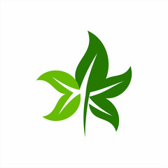 Leaf logo design with star concept.