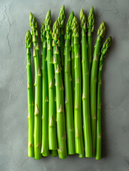 A collection of vibrant green asparagus spears neatly aligned on a textured grey concrete background, presenting a perfect image for health food advocates, cooking enthusiasts, and springtime menu ide