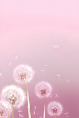 a bunch of dandelions blowing in the wind, white backround, light pink background, each wish resign d, dull pink background, meadow background, flowers background, background white, pink flowers, f