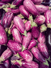 Organic striped eggplants in a traditional market.