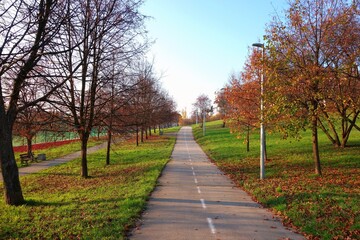 Naklejka premium Photo prepared for the calendar mid-November - bicycle road on a natural background beautiful colorful landscape with fallen leaves from trees to fields
