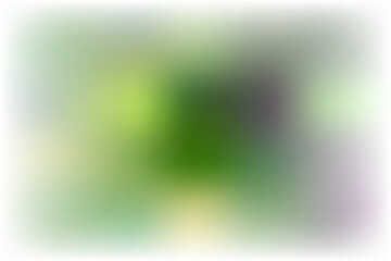 Light blurred shine abstract background vector.