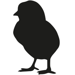 Little chick silhouette