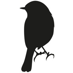 Songbird silhouette