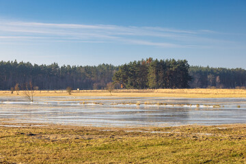 The Janovsky mokrad, landscape view of wetland in Pilsen region, Czech Republic, Europe.