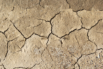 Close up textured abstract background of dry cracked soil mud