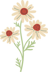 Chamomile Flowers Branch