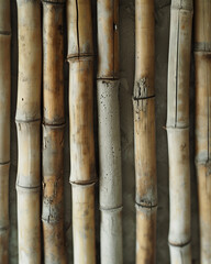 A close-up of several weathered bamboo poles standing upright in close proximity to one another