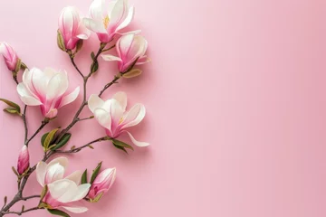 Foto op Canvas Magnolia flowers on pink background top view © The Big L