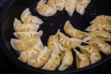 Gyoza dumplings. Japanese cuisine. Close up. 