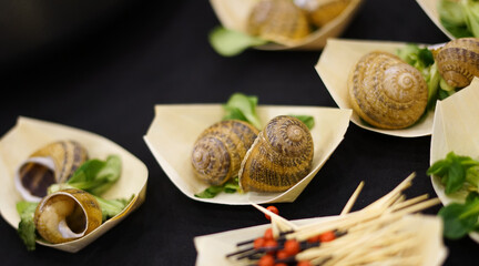 Edible snails. Healthy snack. 