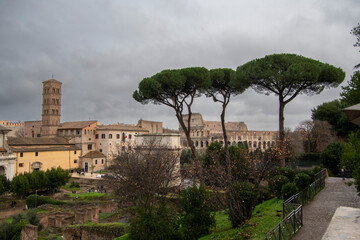 Fototapeta premium Roma