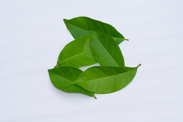 Bay leaves on a white background, bay leaves are an alternative ingredient for traditional medicine, cooking ingredients