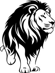 Fototapeta premium Handdrawn lion drawing 