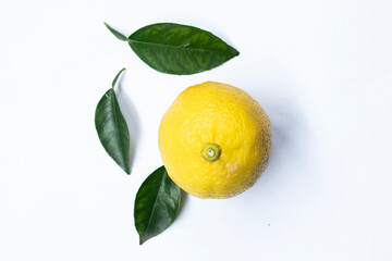 lemon isolated on white background with clipping path