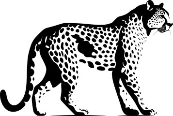 Handdrawn cheetah drawing 