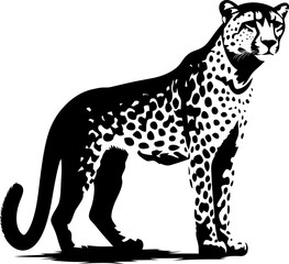 Handdrawn cheetah drawing 