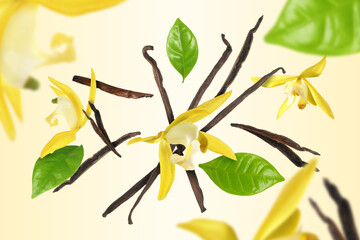 Vanilla pods, yellow flowers and green leaves falling on color background