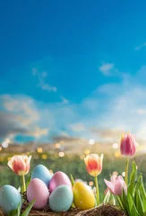 Gardinen Easter day with colorful eggs green garden blur background with bokeh and sun light blue sky © graphixchon