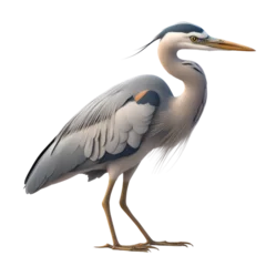 Foto op Plexiglas Heron Cartoon Character Illustration Art SVG Generative AI. © tes