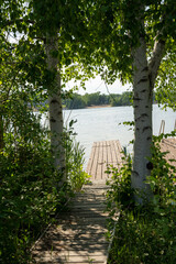 bridge over the river