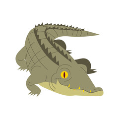 Crocodile Cartoon Style Illustration