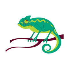 Chameleon Cartoon Style Illustration