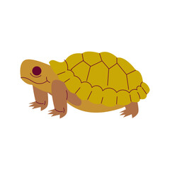 Tortoise Cartoon Style Illustration