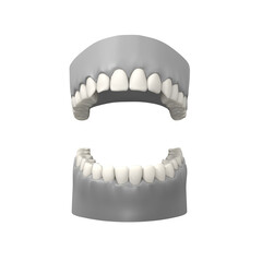 Human teeth 3D model, transparent png - 739637173