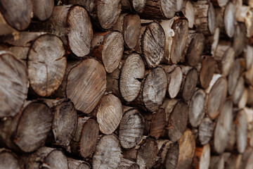 Cross section of tree trunks, timber background. Log trunks pile, the logging timber wood industry. Cutting tree trunks placed together for interior decorate. Decoration of cutting tree.