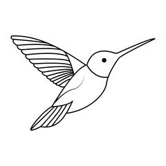 hummingbird single continuous one line out line vector art  drawing  and tattoo design