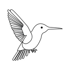 hummingbird single continuous one line out line vector art  drawing  and tattoo design