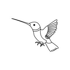 hummingbird single continuous one line out line vector art  drawing  and tattoo design