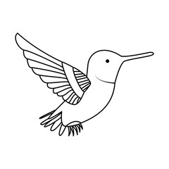 hummingbird single continuous one line out line vector art  drawing  and tattoo design