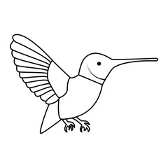 hummingbird single continuous one line out line vector art  drawing  and tattoo design