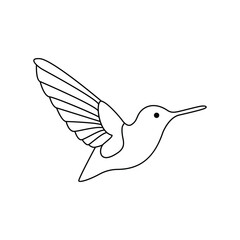 hummingbird single continuous one line out line vector art  drawing  and tattoo design