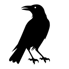 crow vector on a white background