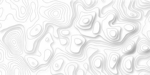 The stylized height of the topographic map in contour, lines. Topography and geography map grid abstract backdrop. creative cartography illustration. Black and white landscape geographic pattern. 
