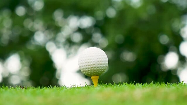 Golf ball on tee in green golf field with recreation sport training course. Tee and ball Sports Equipment in Golf Tournament.