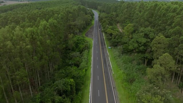 Estrada em meio as &aacute;rvores 