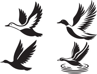 dove of peace