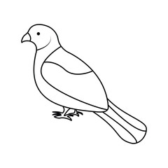 Pigean single continuous one line out line vector art  drawing  and tattoo design