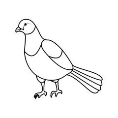Pigean single continuous one line out line vector art  drawing  and tattoo design