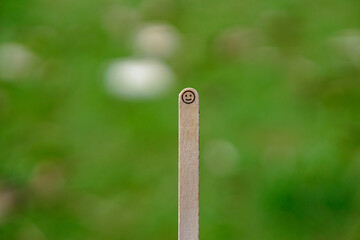 close up of smiling emoji on a popsicle stick as a concept of the spirit of life